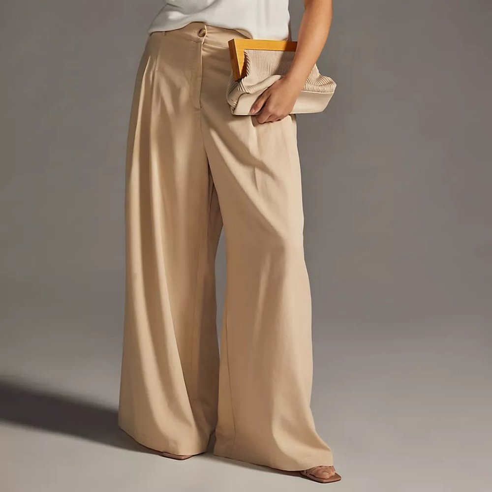 Amadi Pleated Wide-Leg Pants - Small